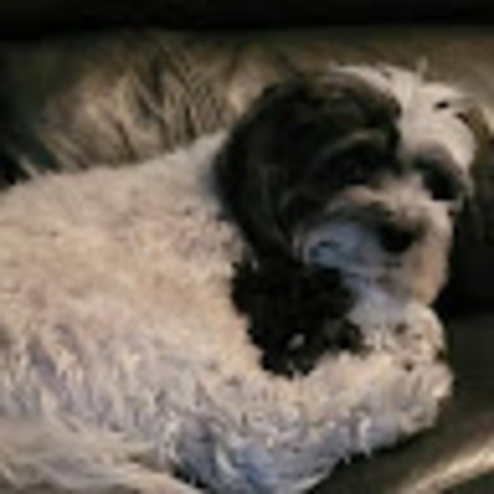 Meet your Posher, Kerry